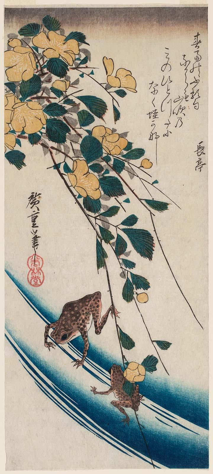 Yellow Rose (Yamabuki) and Frogs – Works – Museum of Fine Arts, Boston