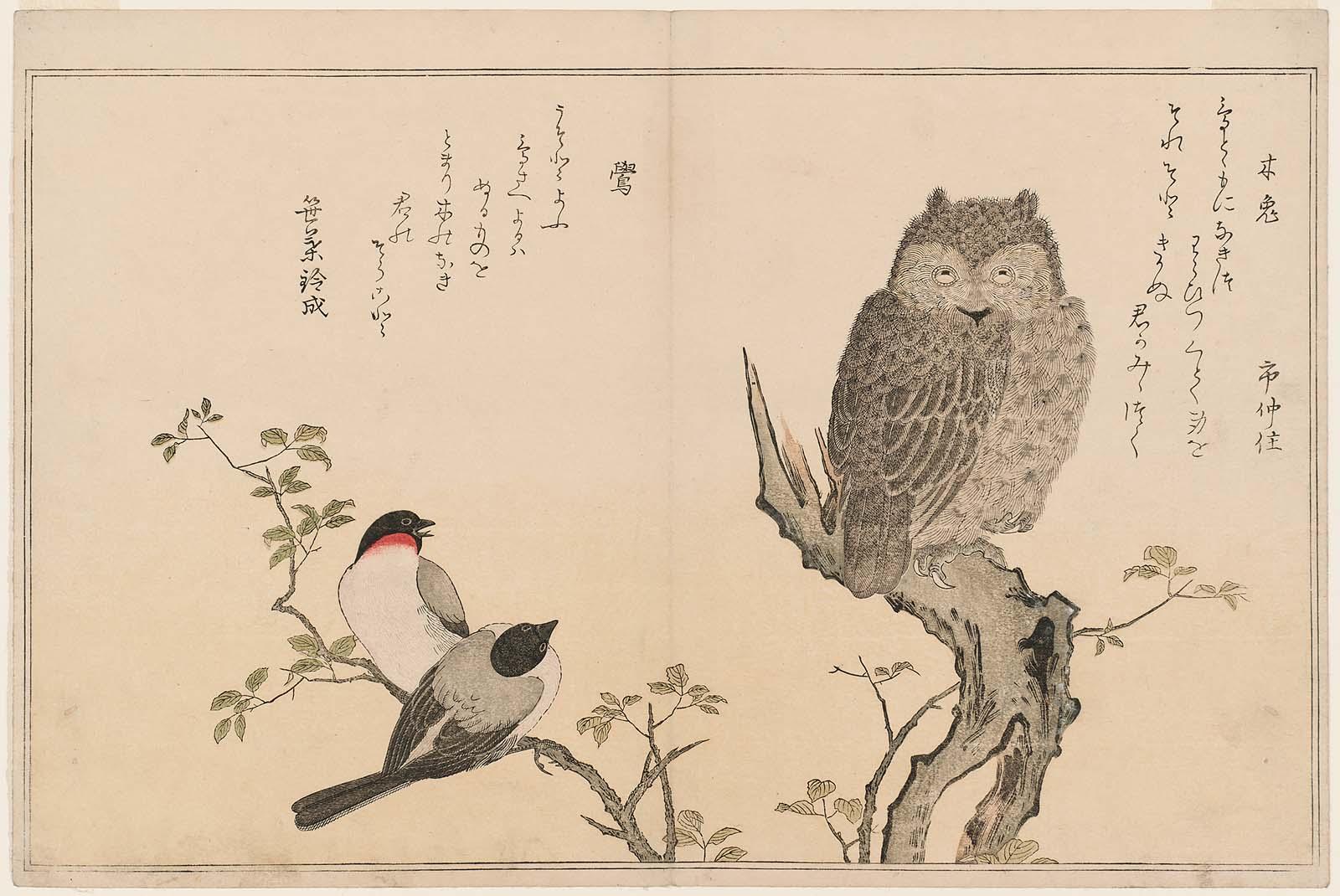 Scops Owl (Mimizuku) and Bullfinches (Uso), from the album Momo