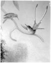 Black-and-white detail of a realistic painting; a slender, curving branch holds a small bird in profile who looks down at a larger bird with an elaborate tail