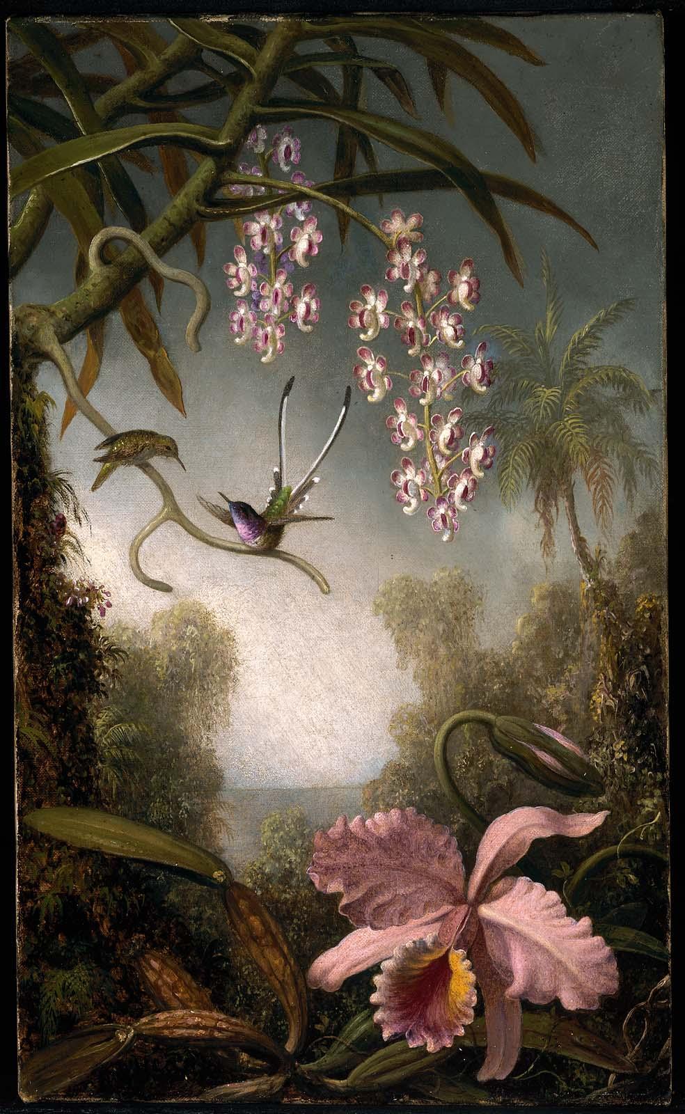 Realistic painting; a large pink orchid flowers in the foreground. Birds and lush foliage in the background. Sky gradiates, lightest at center