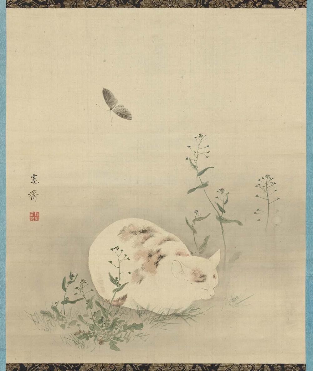 Cat and Butterfly – Works – Museum of Fine Arts, Boston
