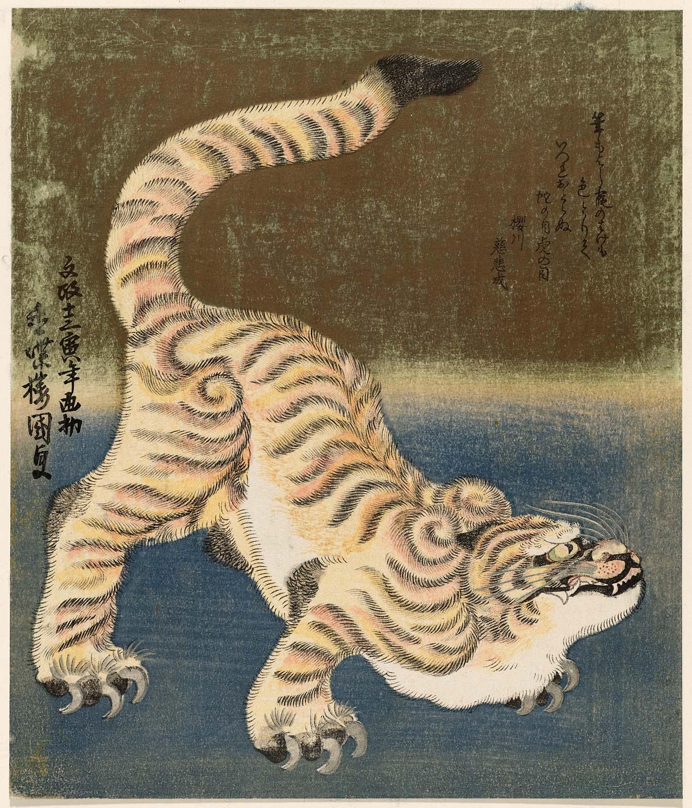 Tiger – Works – Museum of Fine Arts, Boston